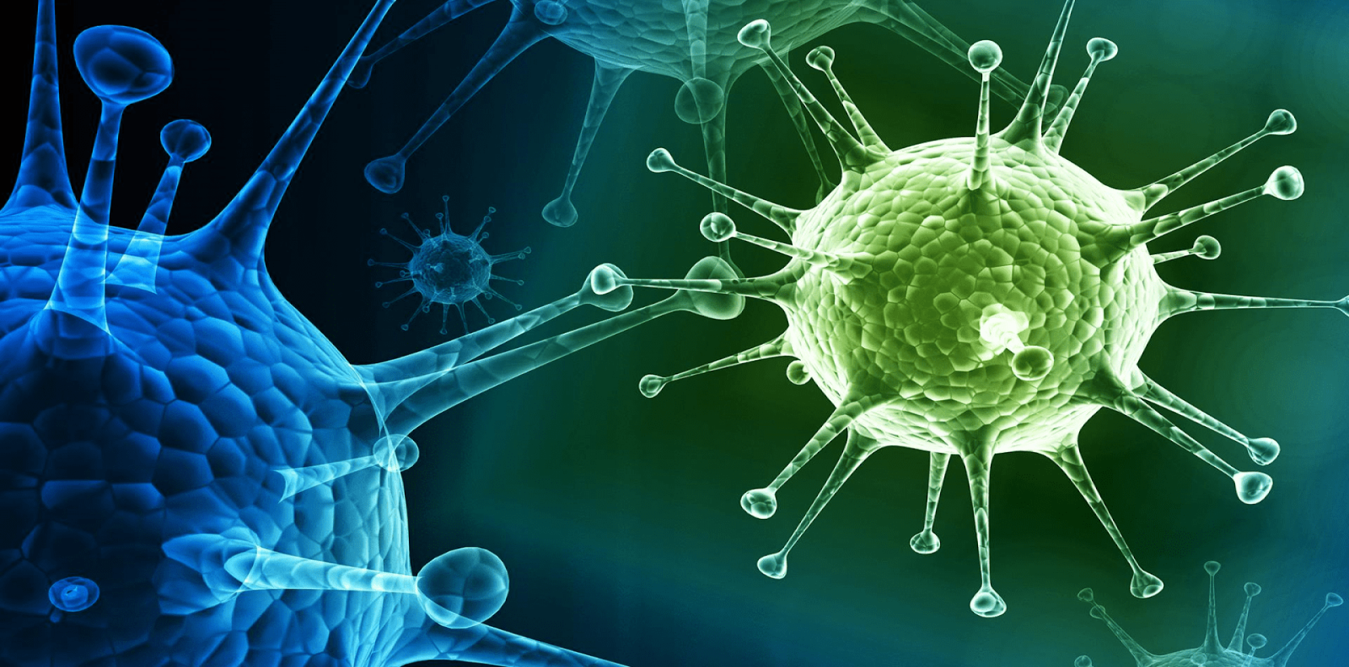Bachelor of Science (Honors) in Microbiology